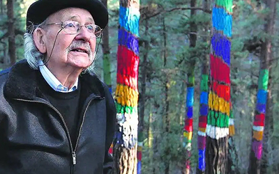 BOSQUE DE OMA. UN BOSQUE MÁGICO