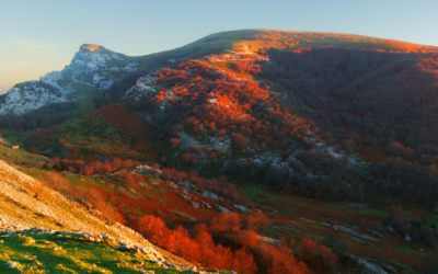 Parque Natural de Gorbea: rutas de senderismo que no te puedes perder